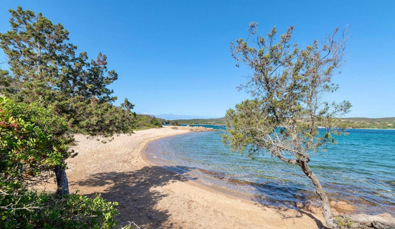 Residence Con Piscina A Palau, A Soli 150 Mt. Dal Mare Exteriér fotografie